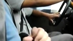 Bigcockflasher - Flashing the taxi driver