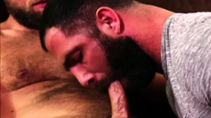 Masculine Studs Jake Nicola And Zayne Roman Anal Fucking