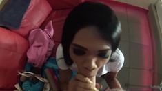Asian ladyboy girlfriend hot blowjob