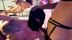 Amateur MILF blowjob cumshot