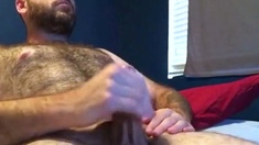 Hairy Bear Masturbating on Webcam