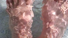 Black Amateur Explore Hot Foot Fetish