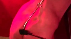Mistress Karin von Kroft aka domkarin OnlyFans - Punished