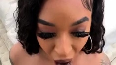 Exotica XXX