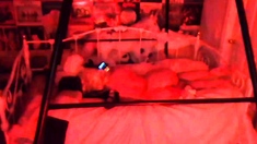 Amateur Hidden Cam