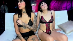 Solo Amateur Webcam Teen Masturbation