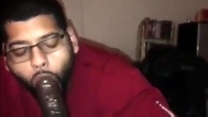 Big Black Cock Blowjob By Amateur Dick Gobbler